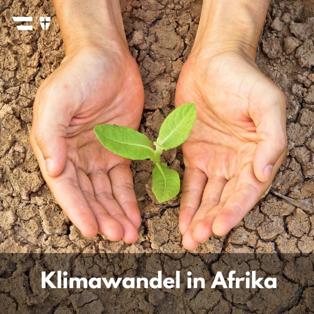 Titel: Klimawandel in Afrika Bild: Hände halten Pflanze