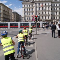 2_Schulterblick_Titelbild-1