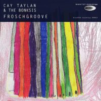 BRR012_CayTaylan_and_The_Bonksis-Froschgroove_small