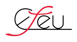 EfEU_Logo_2020