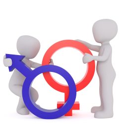 Gender.jpg