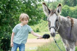 Kind_Intervie_Esel_(c)Tierschutz_macht_Schule