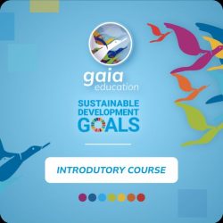 SDGs-Einfuehrungskurs