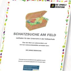 Schatzsuche-am-Feld.jpg