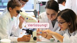 Verlosung