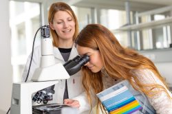 Verpackung-Kinsley-Sattler-Habibi_-Pinter-Elisabeth-10_750x500