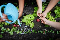 WiG_Wiener_Schulfruchtprogramm_2023_Johannes_Hloch_015