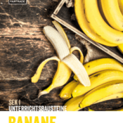 csm_Suesse_Fruechte_-_Fairer_Handel_Unterrichtsbausteine_zu_Banane_Sek_I_871612c8fc.png
