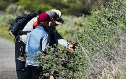 csm_csm_CC-BY_3.0_AU_Seamus_Doherty_8a0f707dde_a155b00e67-1