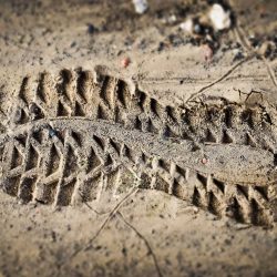 footprint-g537df79f5_1920.jpg