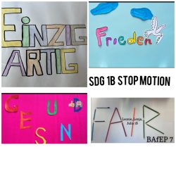 Einzigartig, Frieden, Gesund und Fair