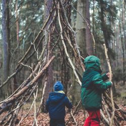 markus-spiske-1S0-pHmQ-TY-unsplash-scaled-1.jpg