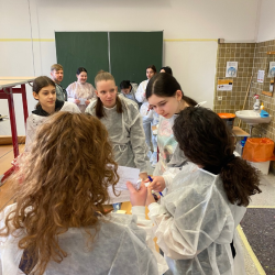 resized_MicrosoftTeams-image (2)