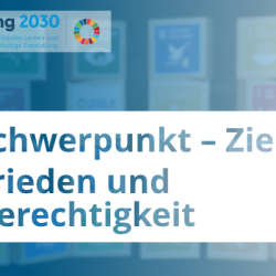 schwerpunkt-ziel16.png