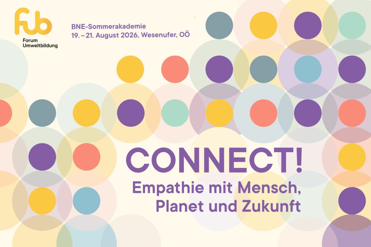 Sujet_WEB_SOAK26_Rechteck